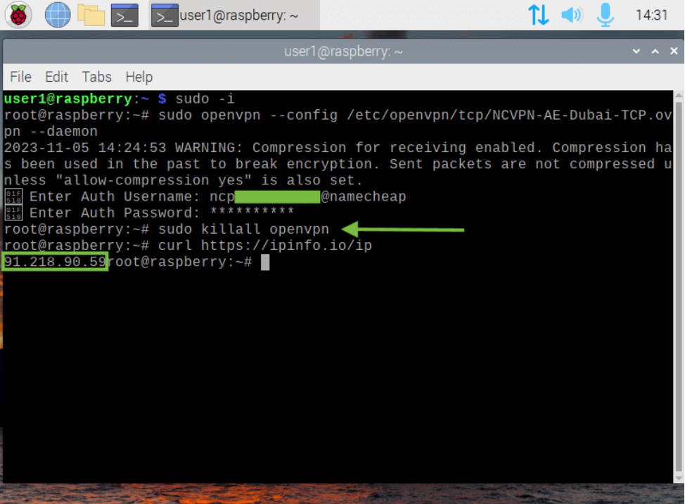 如何在 Raspberry Pi OS 上设置 OpenVPN：分步指南