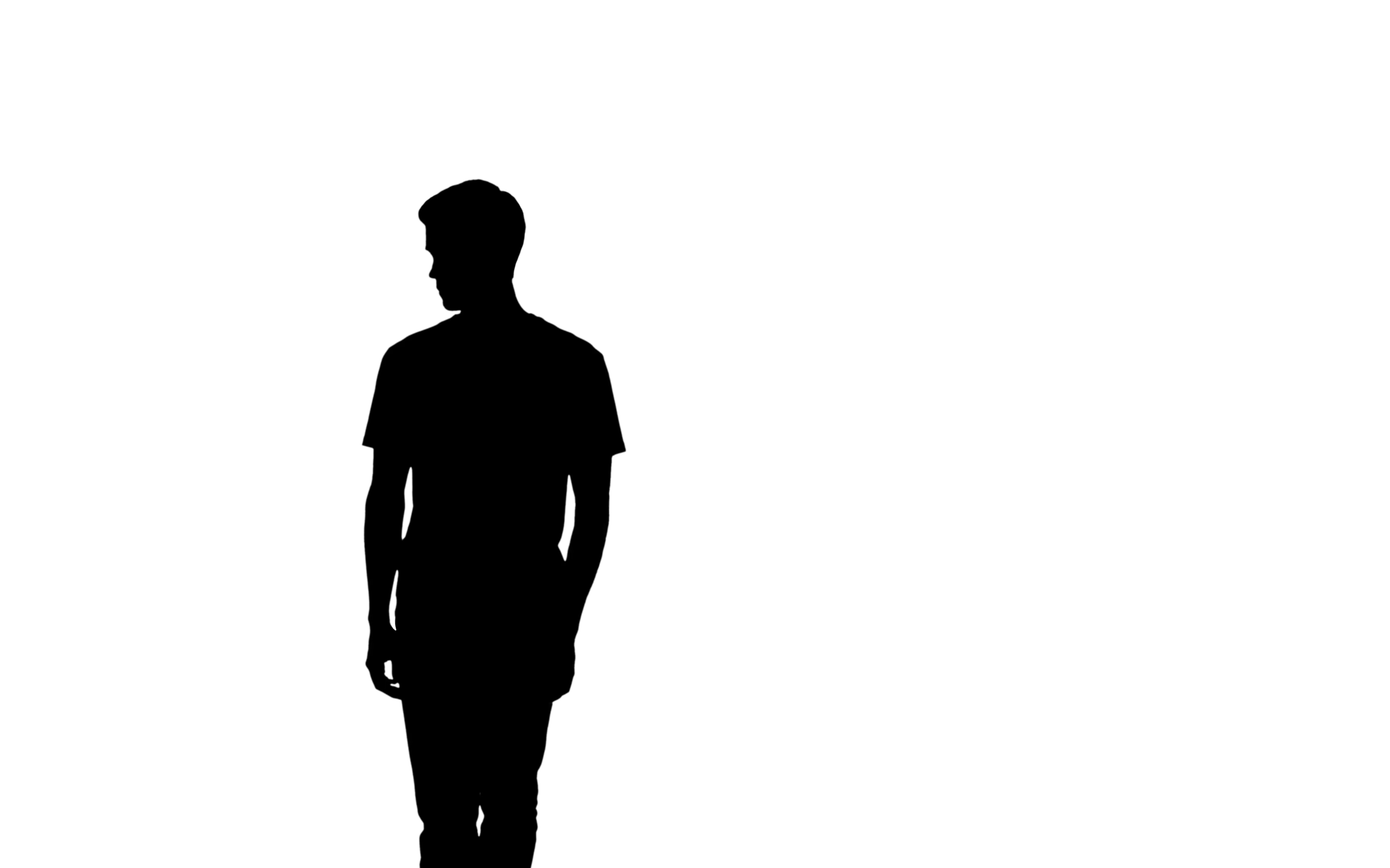 Figure of the man